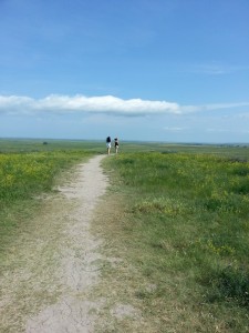 20150705_121145
